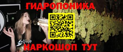таблы Кингисепп