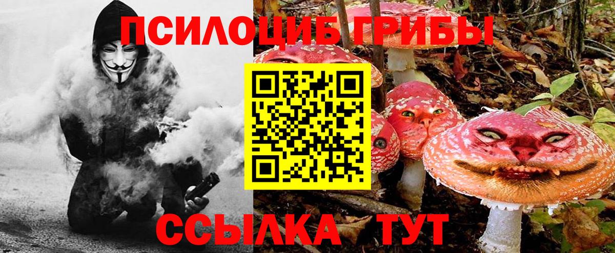 Галлюциногенные грибы GOLDEN TEACHER Красноуфимск